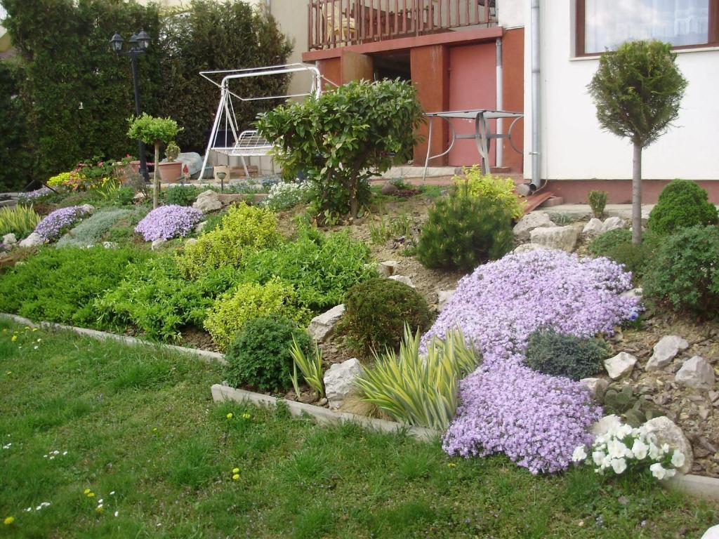 Apartman Berki Hévíz Habitación foto