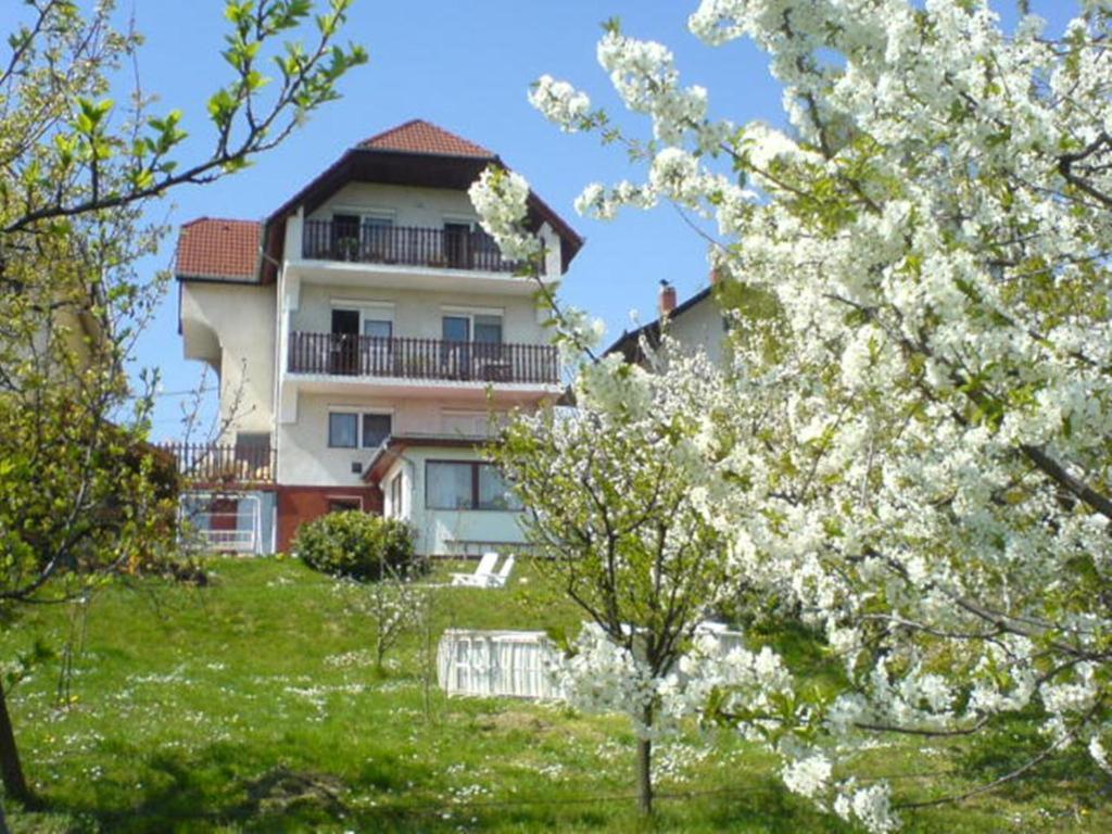 Apartman Berki Hévíz Exterior foto